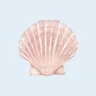 Profile picture of natalie 🐚